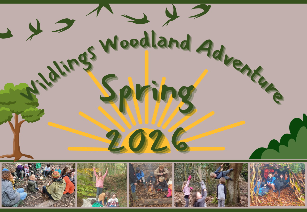 Spring Holiday Woodland Adventure
