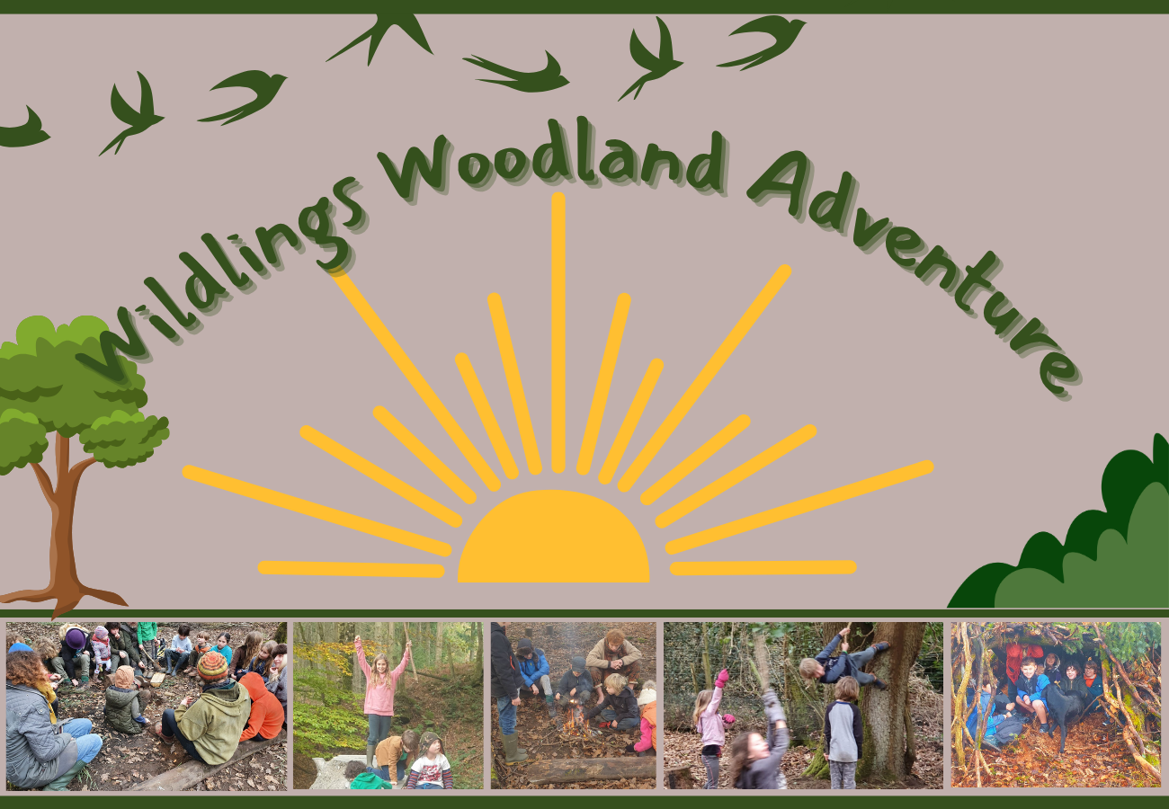 Wildlings Woodland Adventure - Summer '26
