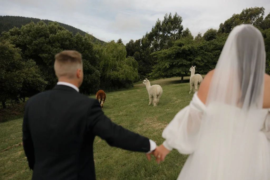 Couple enjoying a quiet moment together while planning their wedding at Waipuna Estate.