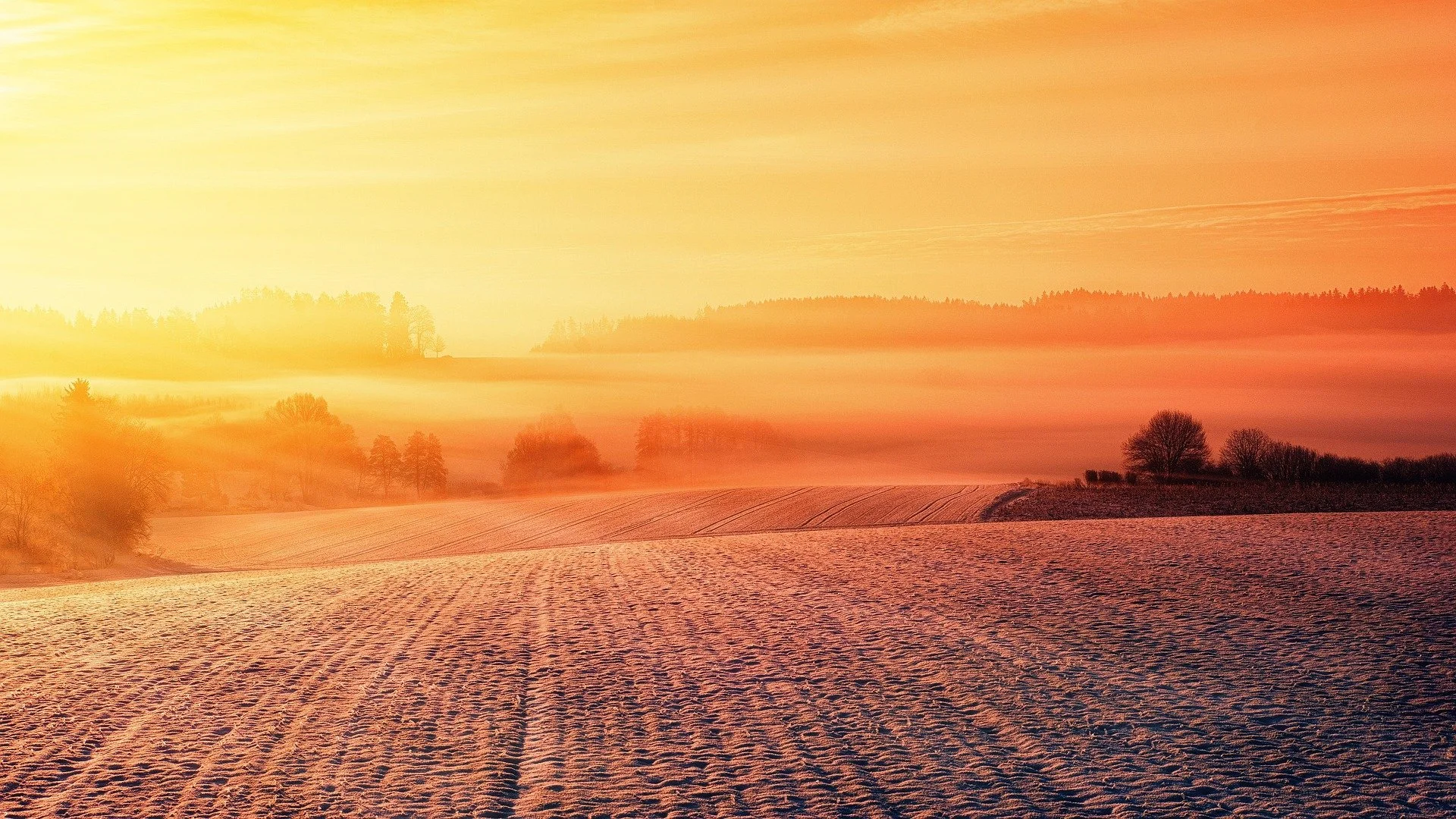 snow-3404534_1920.jpg