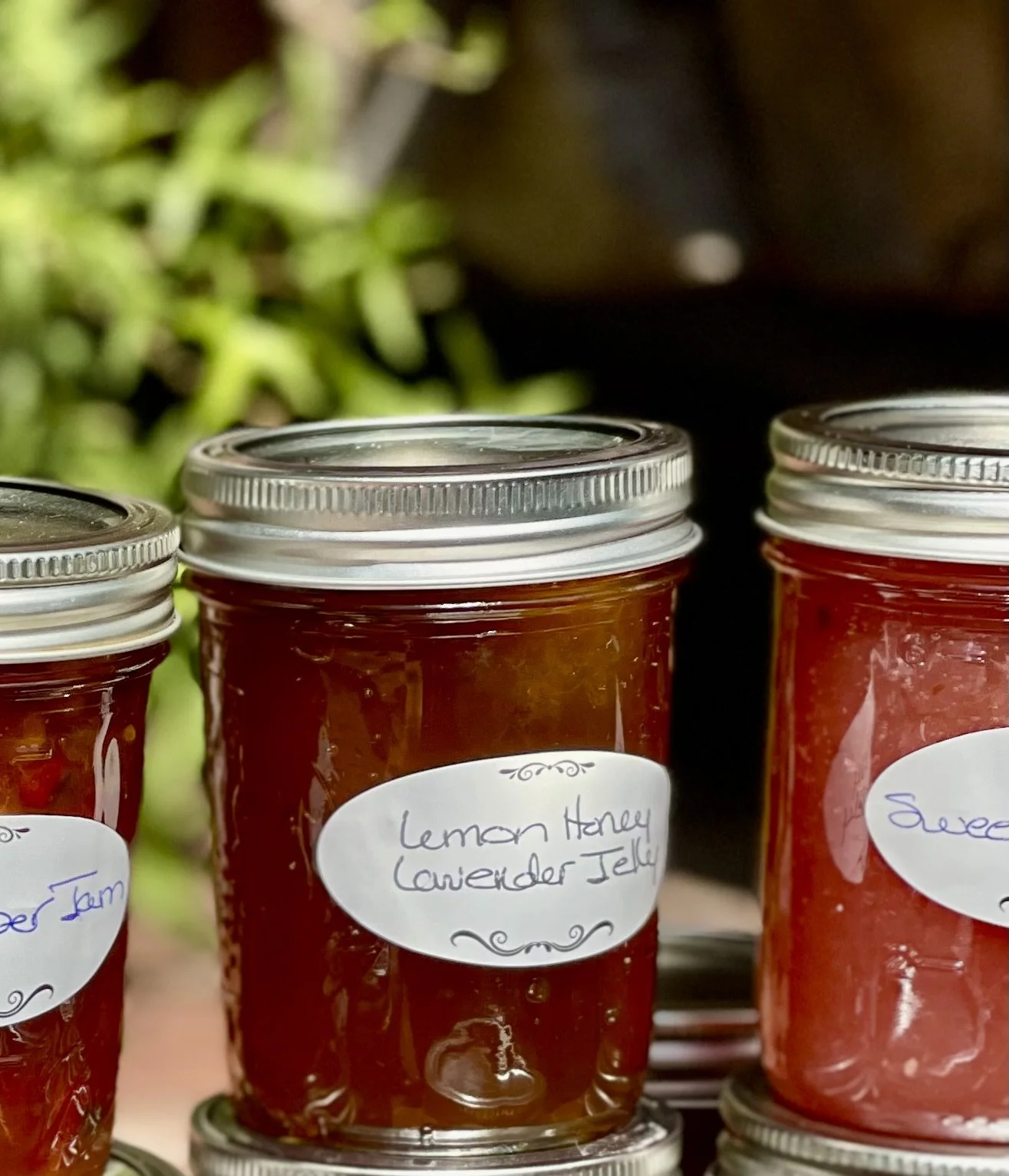Jam Session: Lemon Honey Lavender Jelly Recipe