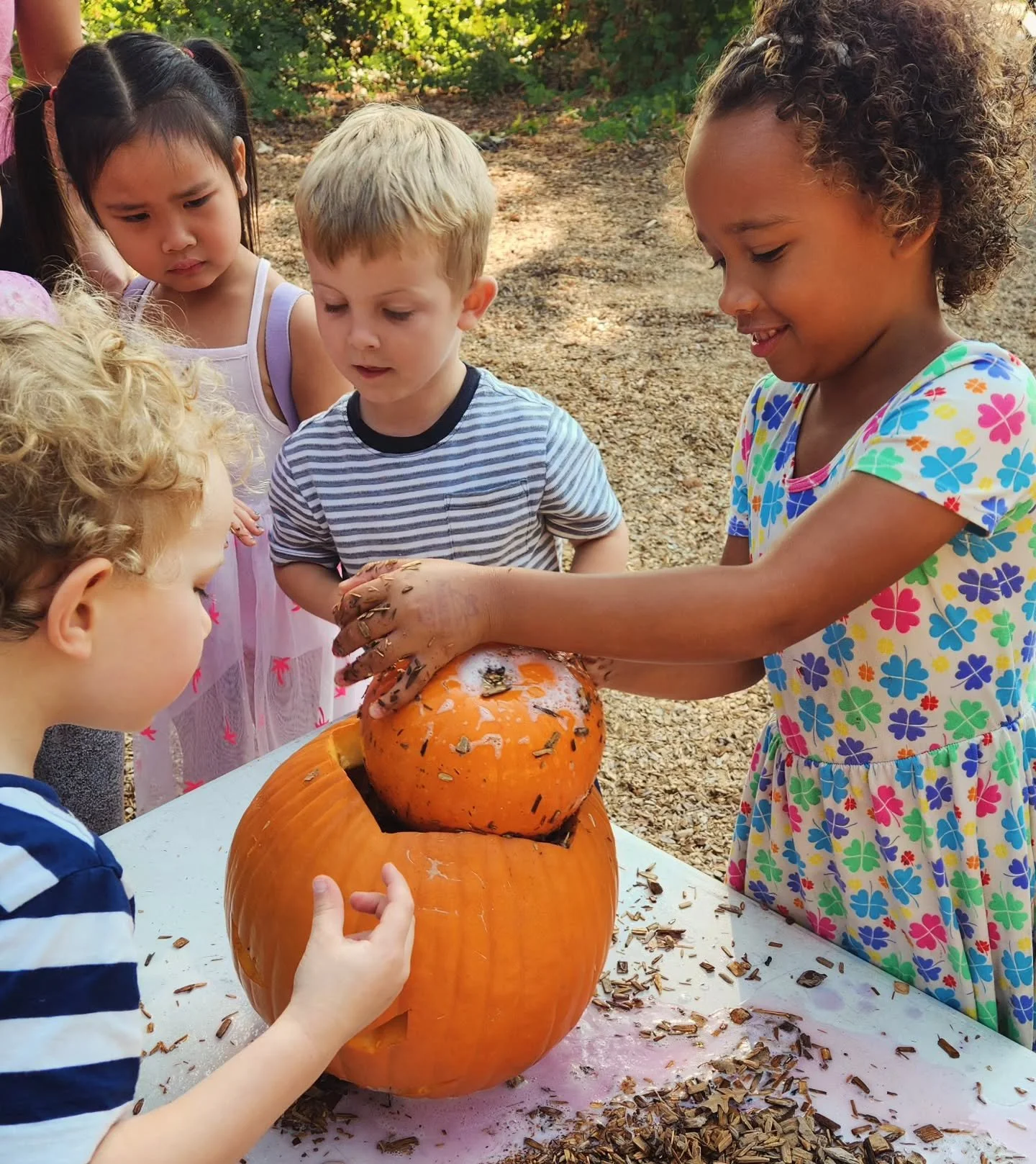 Pumpkins! π Tomorrow! βοΈ Bryte Park! πΏ