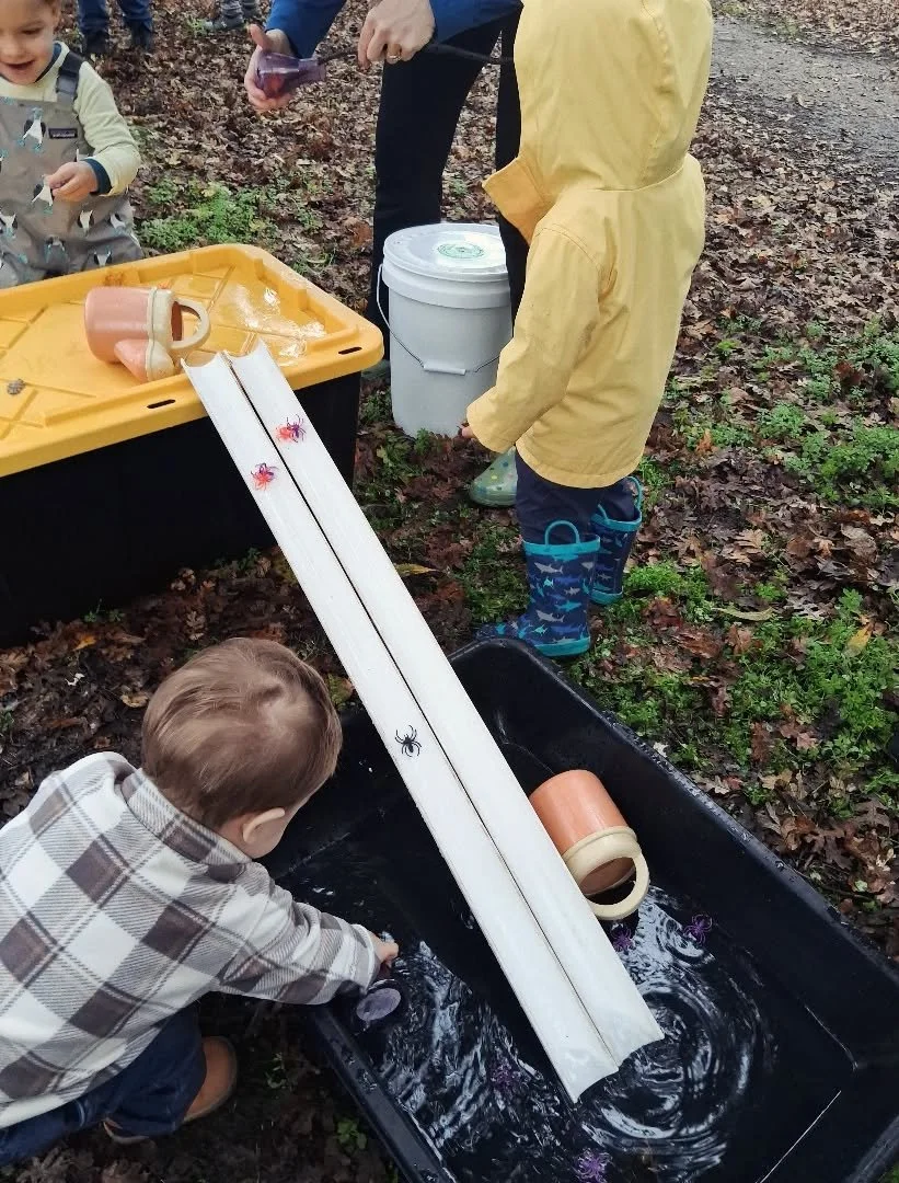 🎶 The itsy bitsy spider went up the water spout.  Down came the rain and washed the spider out!! 🎶🕷 

Our next Wiggle Worms Nature Play is December 14th @ Bryte Park!

#rainydayplay #westsac #thewondergrove #rainorshine