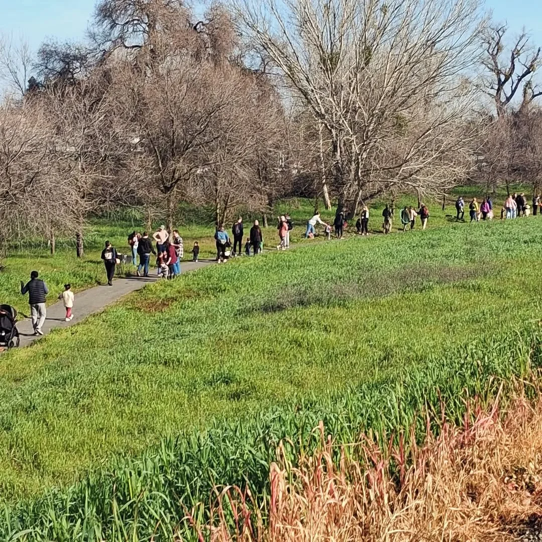 So many friends joined us this morning for our bird walk! 

#BackyardBirdCount #naturekids #getoutside #westsacbestsac