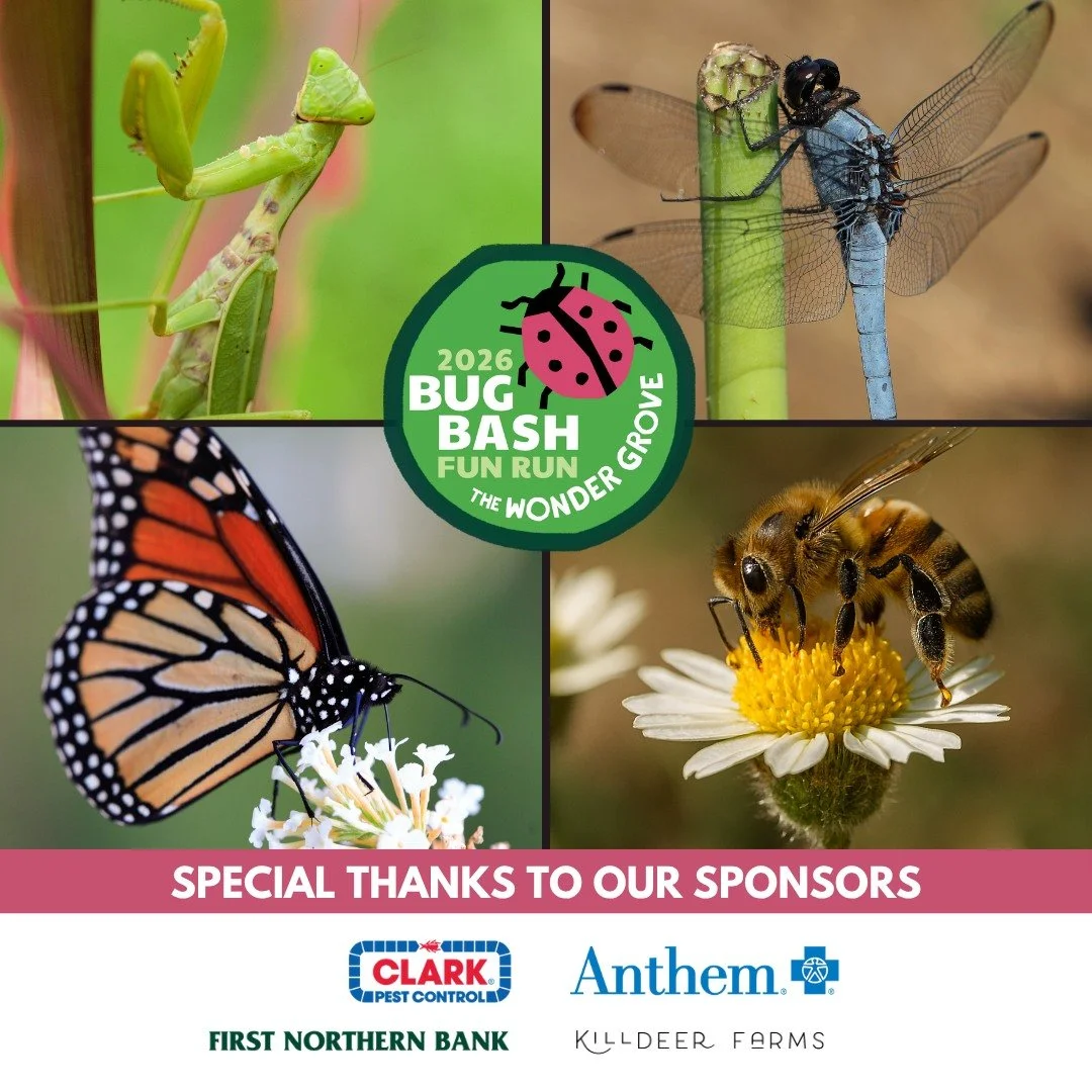 Meet your Bug Bash costume inspiration! 🐛 

Our amazing sponsors helped make this event possible and we think they pair pretty perfectly with some of our favorite bugs. Who will YOU come dressed as on April 18th?

🦟 @clarkpest &rarr; Praying Mantis