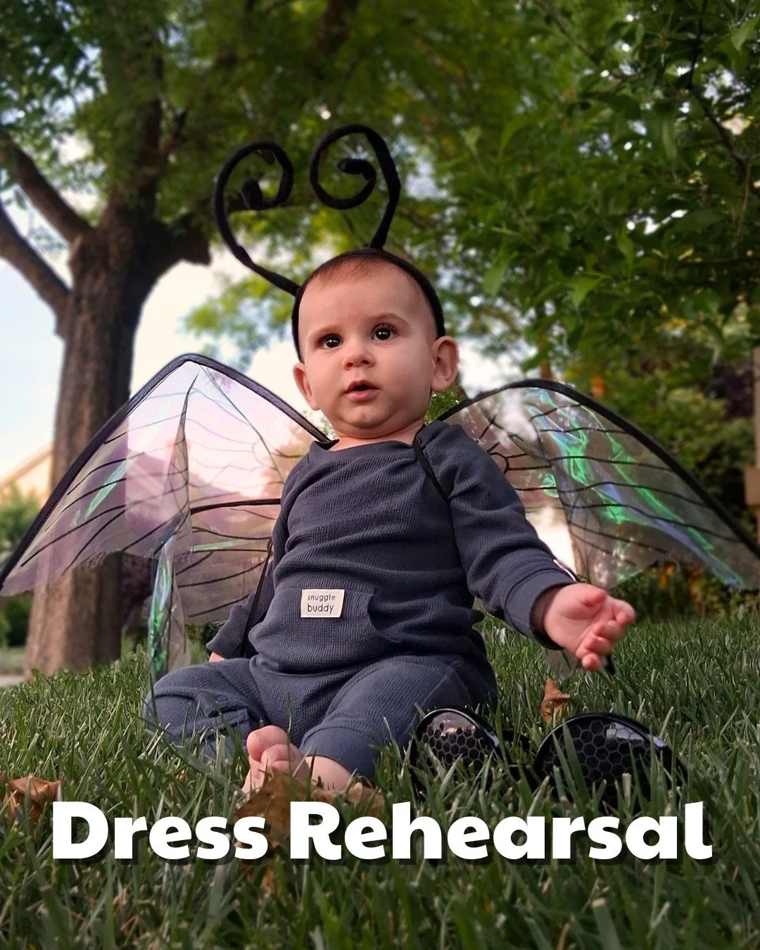 Think your bug can compete?

🐜 Best Colony
🐞 Best Little Bug
🐛 Best Big Bug

🎨 Costume making station opens at 9am
🥞 Pancake bites at 9am
🏃&zwj;♀️ Walk/Run starts at 10am

👉 Registration link in bio + bring your bug

#BugBash #FunRun #FamilyFu