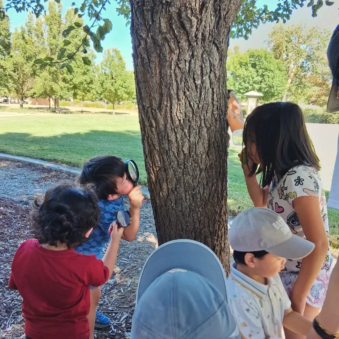 We found the perfect spot for the next 12 Wednesdays for all the bug investigations! Bring a blanket and picnic dinner to close our the day with us under the trees. 

See you next week!