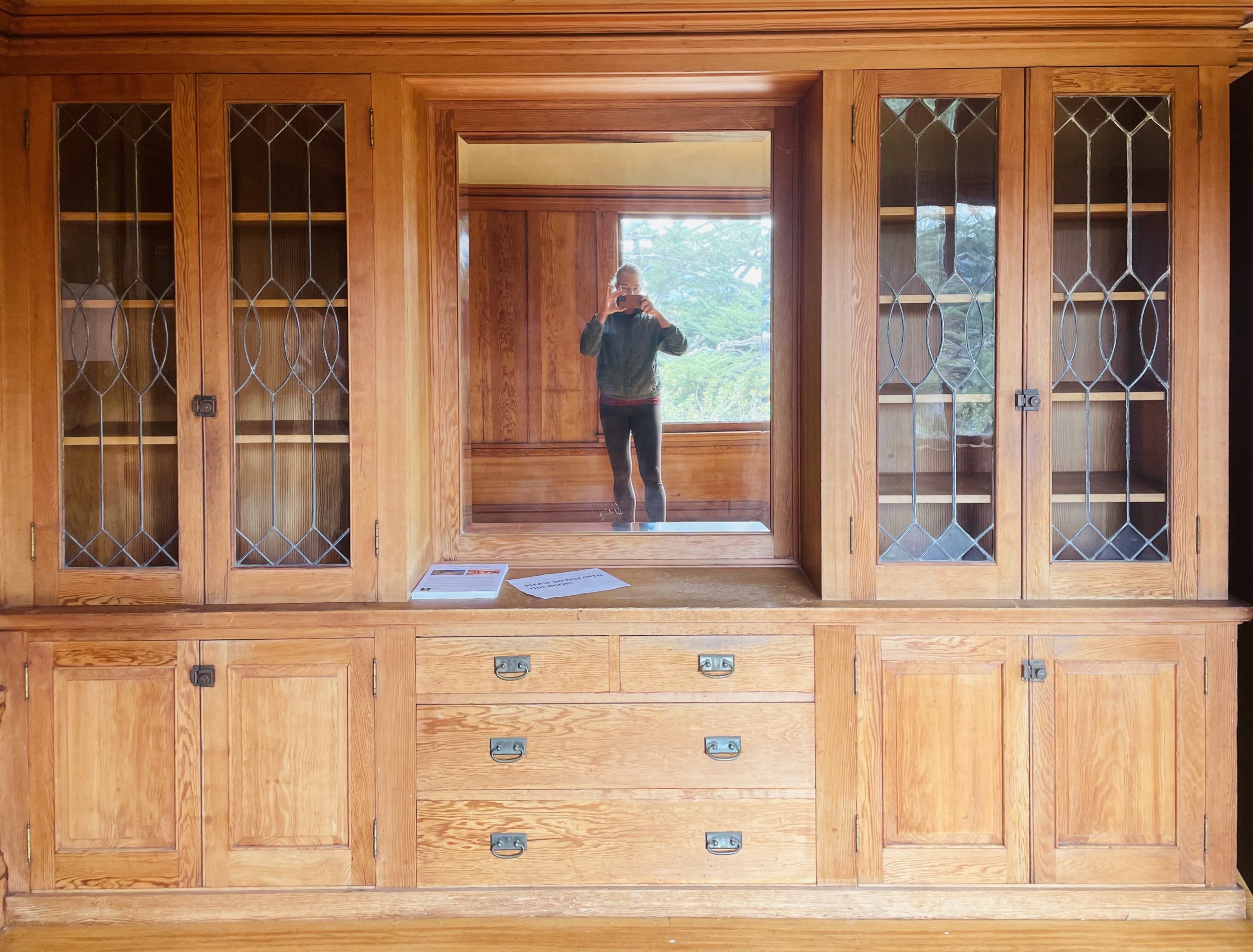 Reflection of a woman taking a photo in a mirror built into a wooden cabinet with glass-paneled doors and multiple drawers, surrounded by a natural landscape view outside the window.