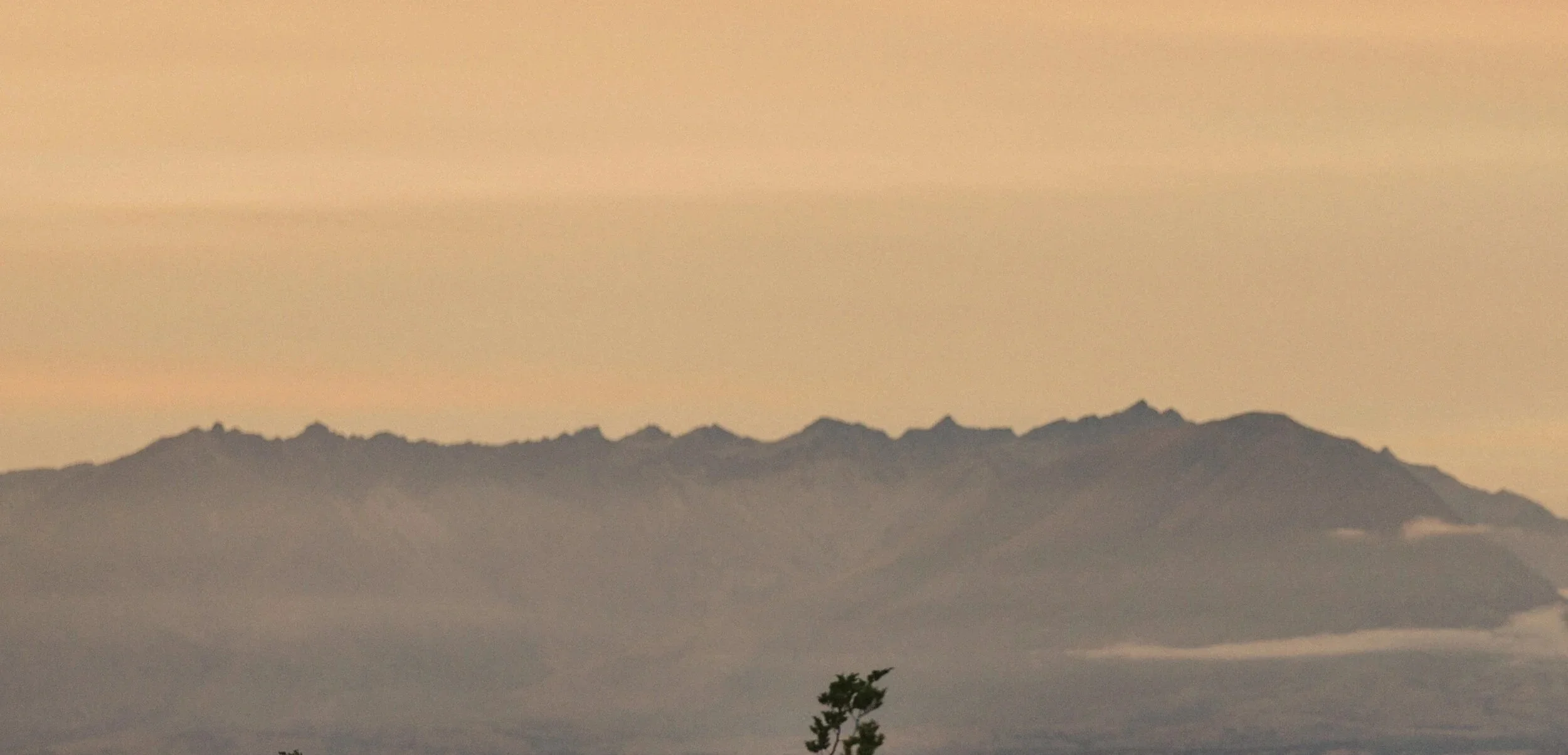 A mountain range at sunset or sunrise with a hazy sky and a few clouds, and a small tree in the foreground.