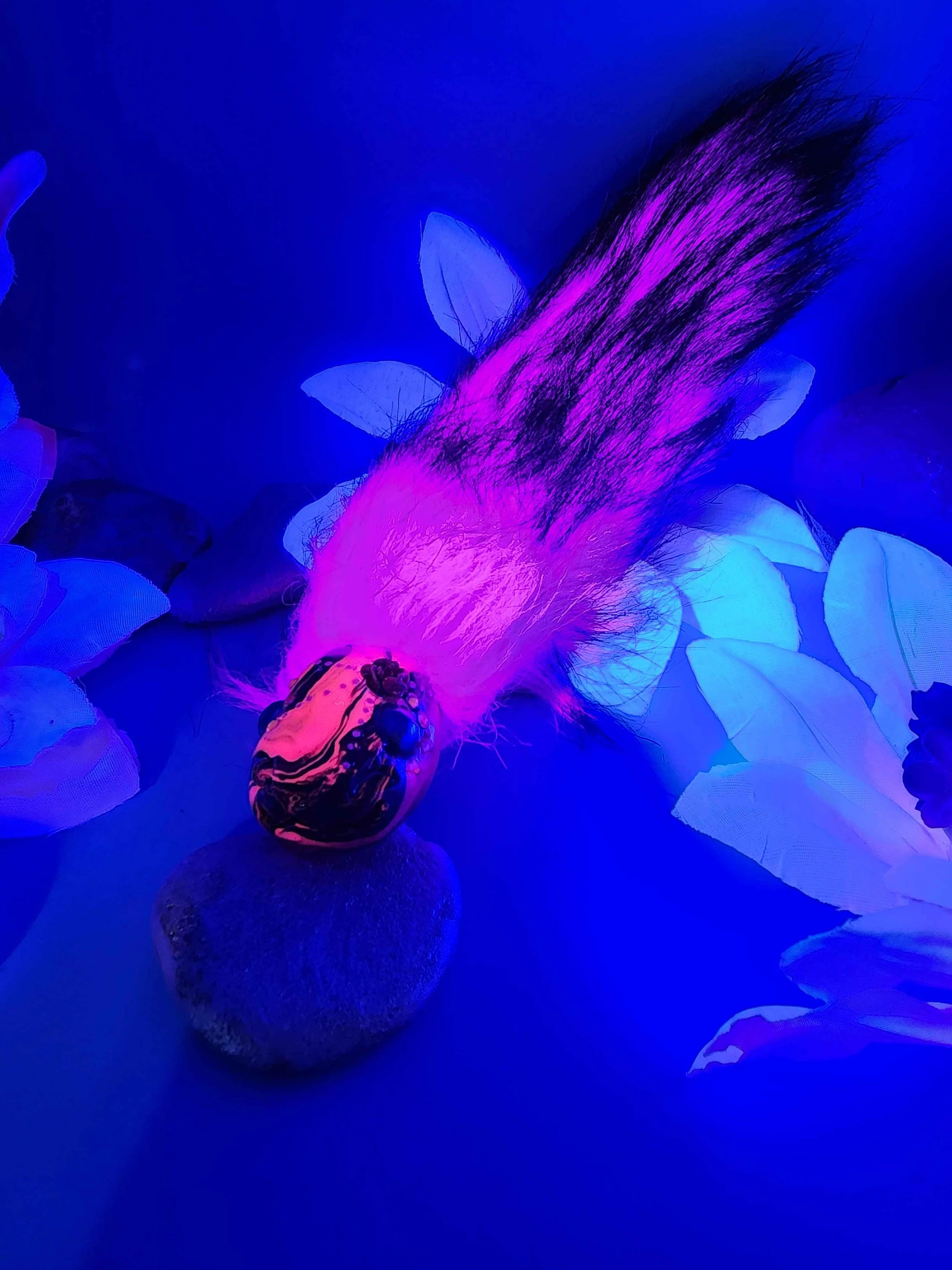 20260608_171805.jpg