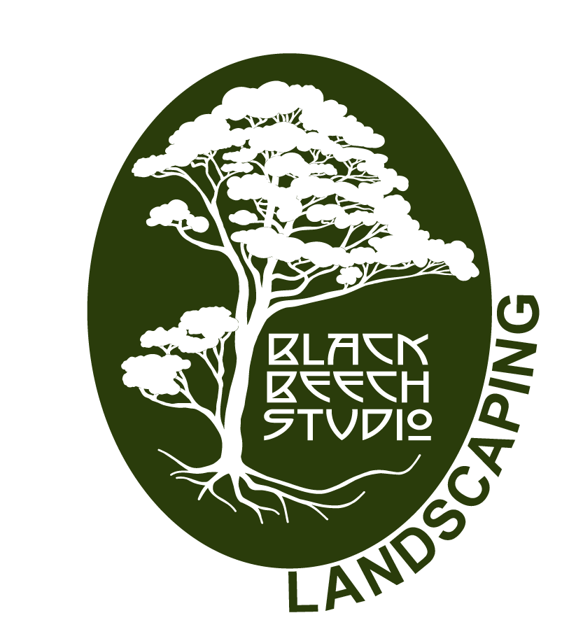 Black Beech Studio Landscaping - Canterbury New Zealand