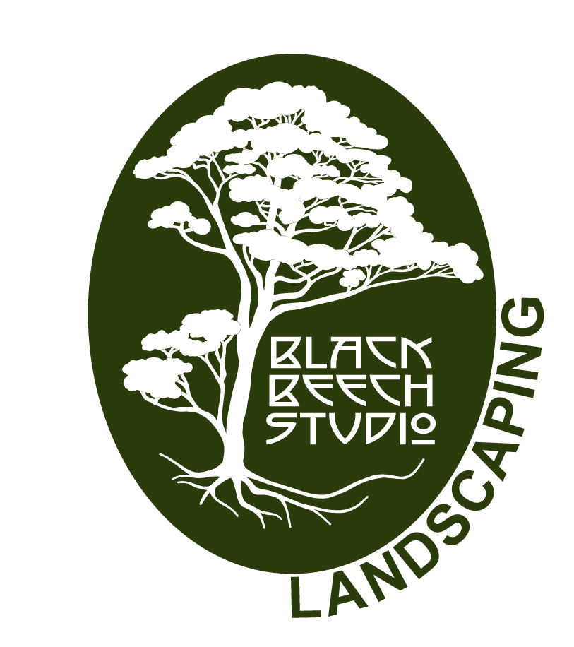 Black Beech Studio Landscaping - Canterbury New Zealand