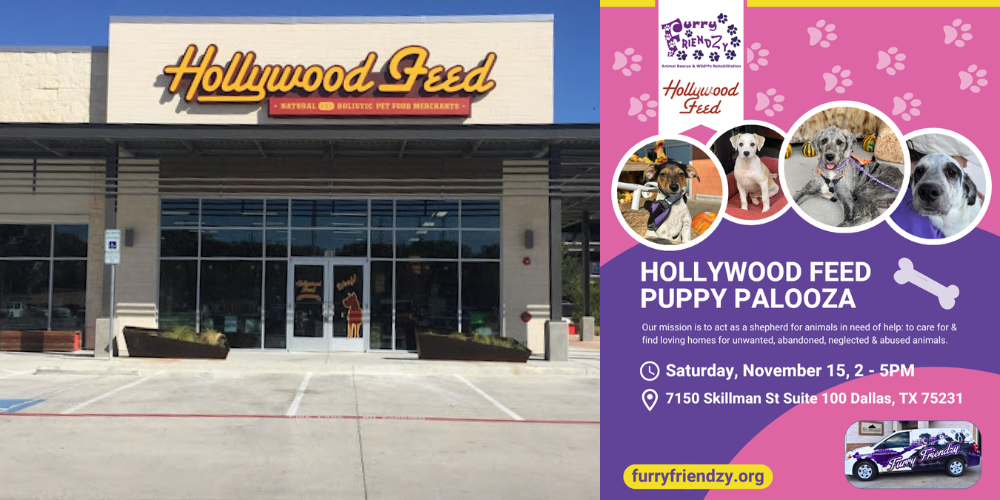 Puppy Palooza at Hollywood Feed on Skillman