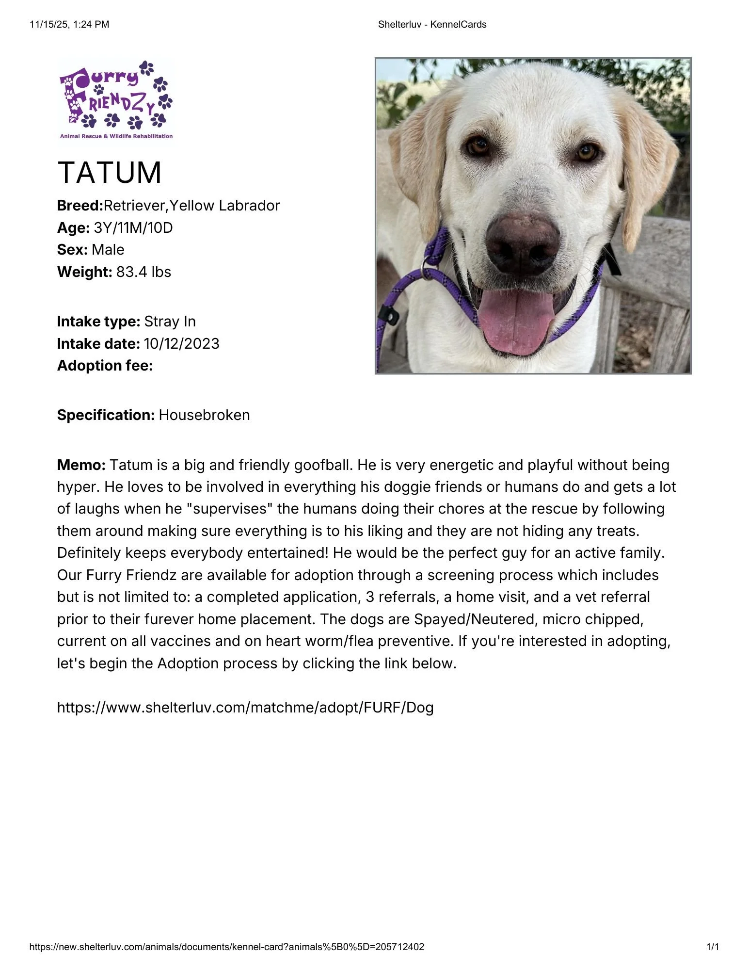 Shelterluv - KennelCards_tatum.pdf.jpg