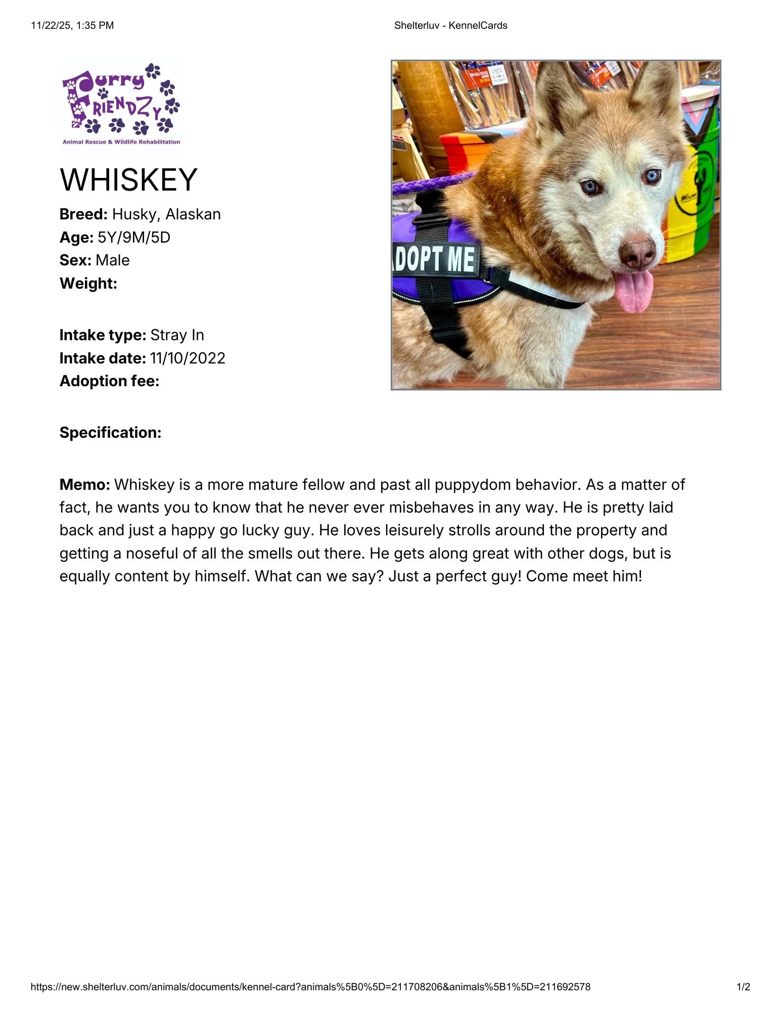 Shelterluv - KennelCardswhis.pdf.jpg