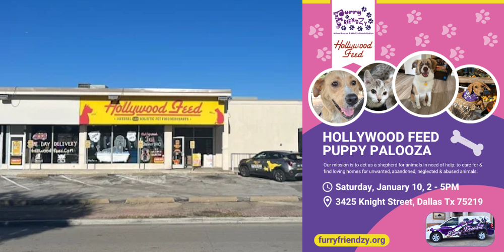 Puppy Palooza at Hollywood Feed on Knight St.