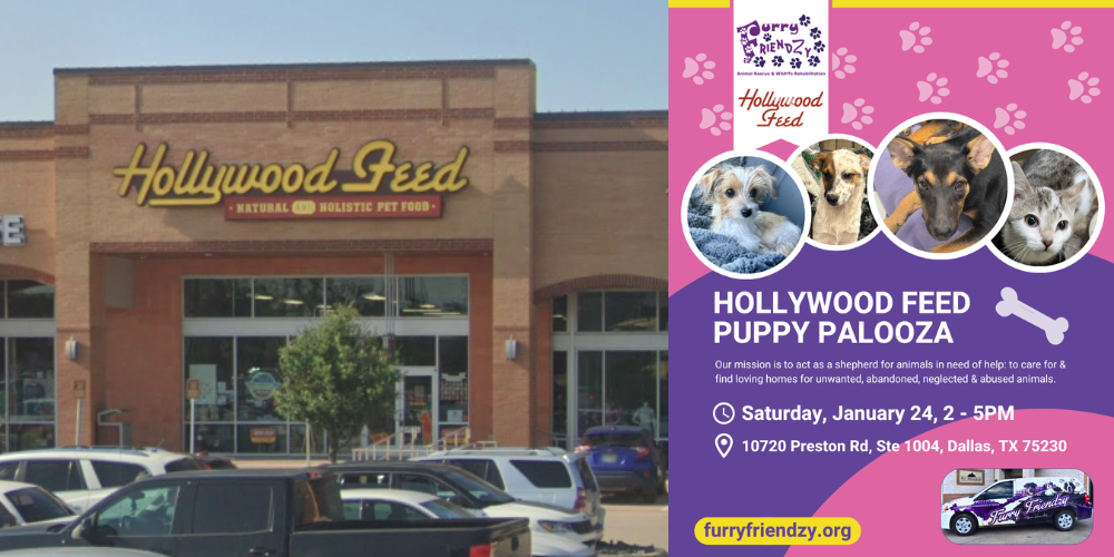 Puppy Palooza at Hollywood Feed on Preston