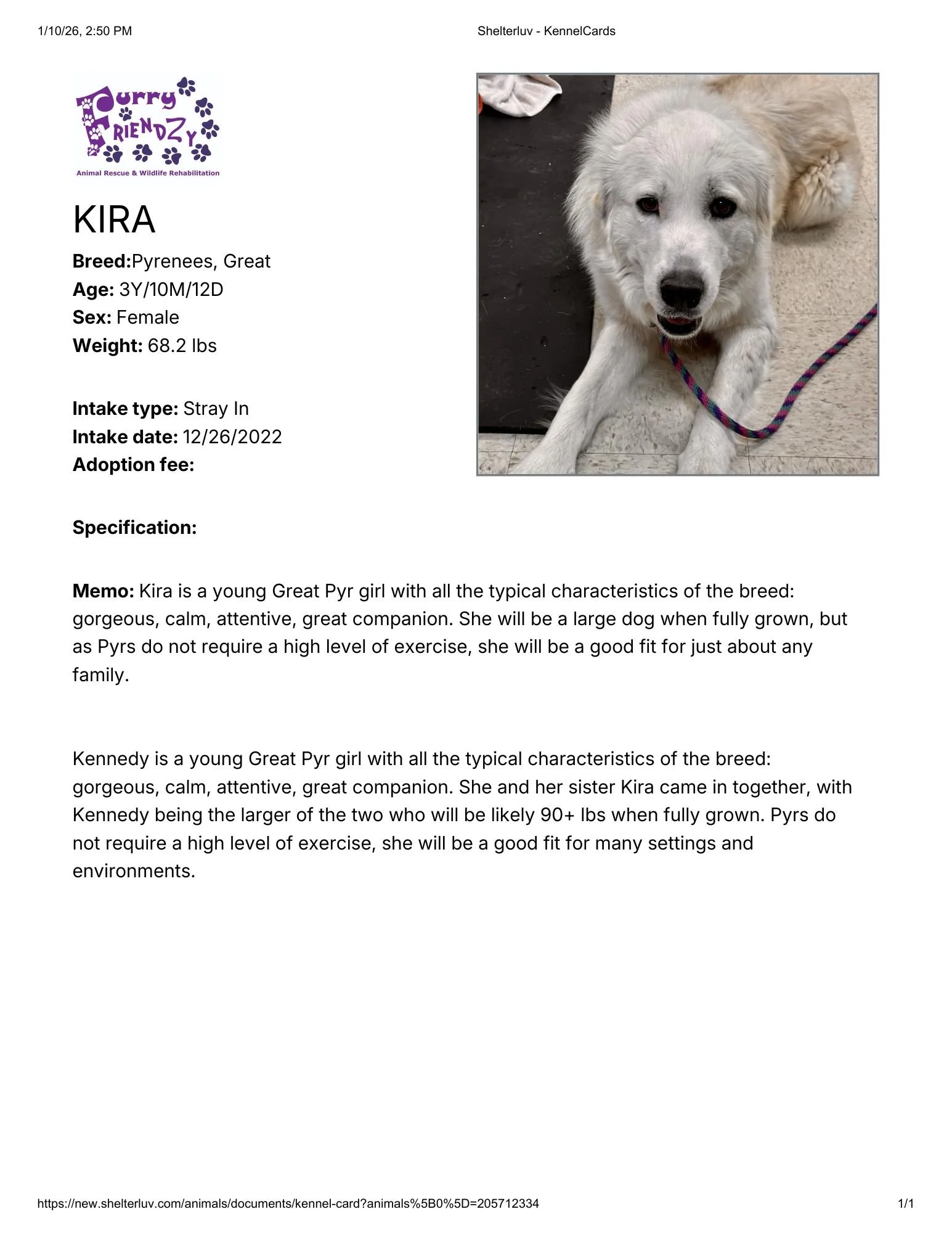 Shelterluv - KennelCardskira.pdf.jpg