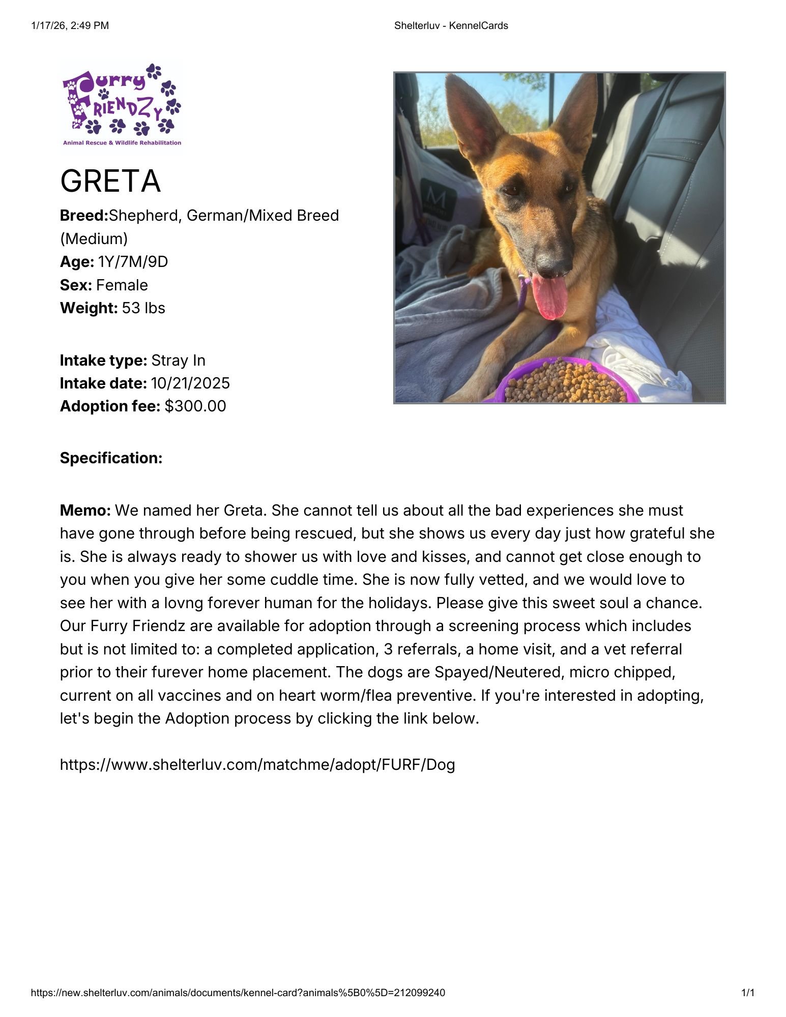 Shelterluv - KennelCardsgreta.pdf.jpg