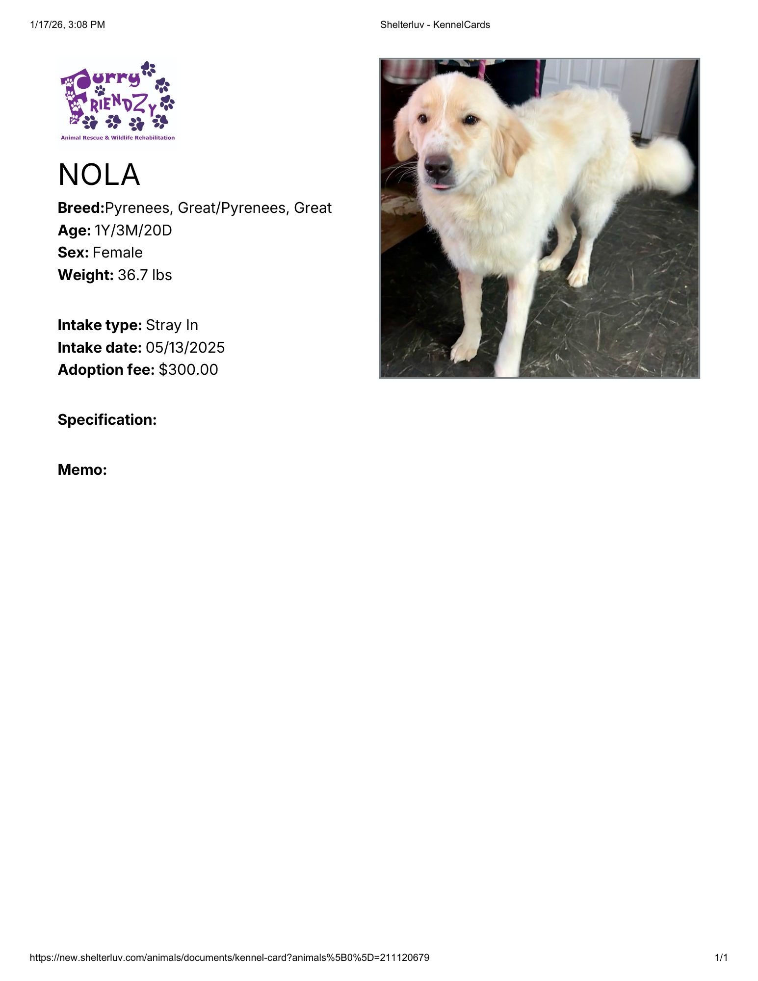 Shelterluv - KennelCardsnola.pdf.jpg