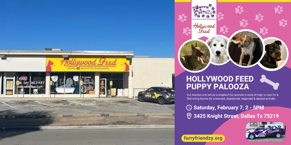 Puppy Palooza at Hollywood Feed on Knight St.