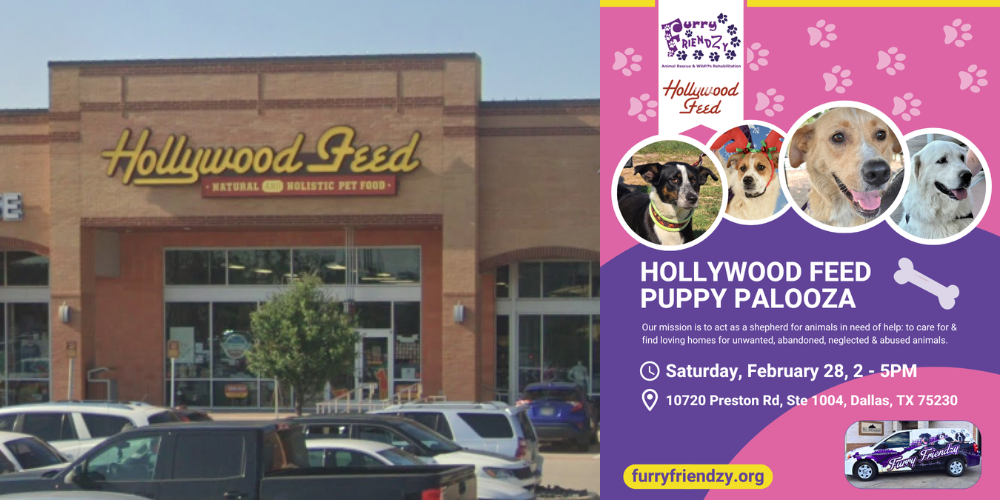 Puppy Palooza at Hollywood Feed on Preston
