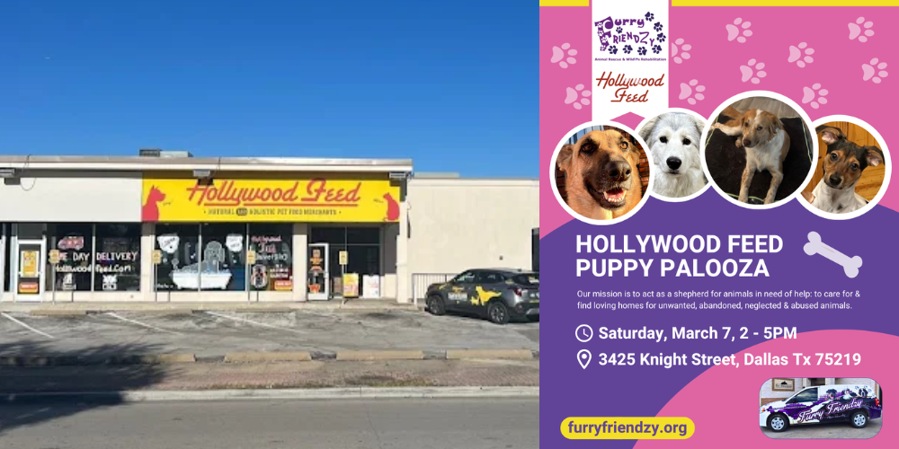 Puppy Palooza at Hollywood Feed on Knight St.