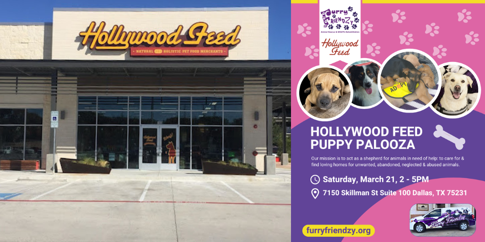 Puppy Palooza at Hollywood Feed on Skillman