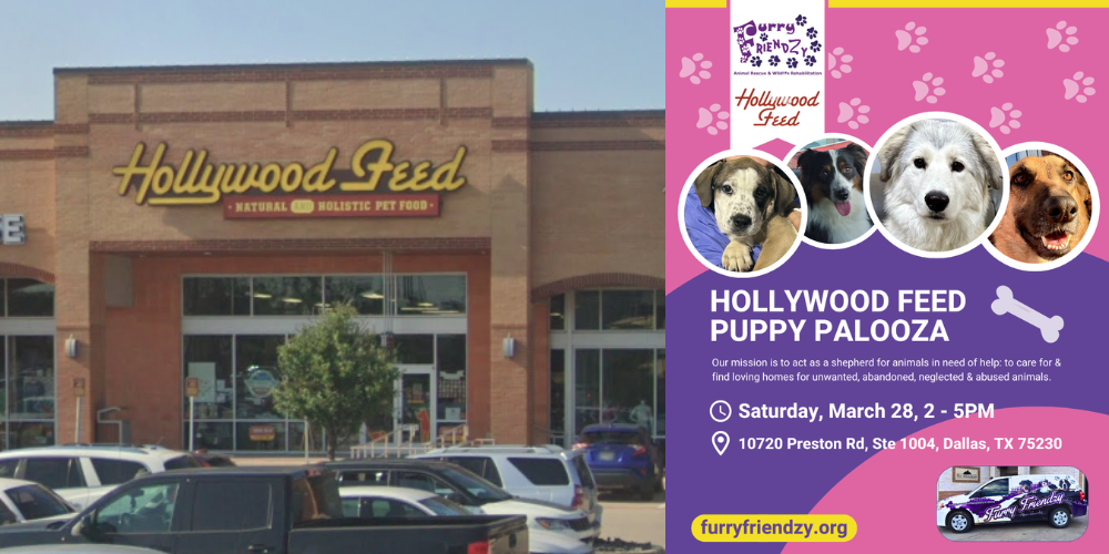 Puppy Palooza at Hollywood Feed on Preston