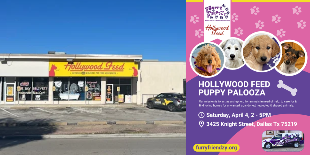 Puppy Palooza at Hollywood Feed on Knight St. 