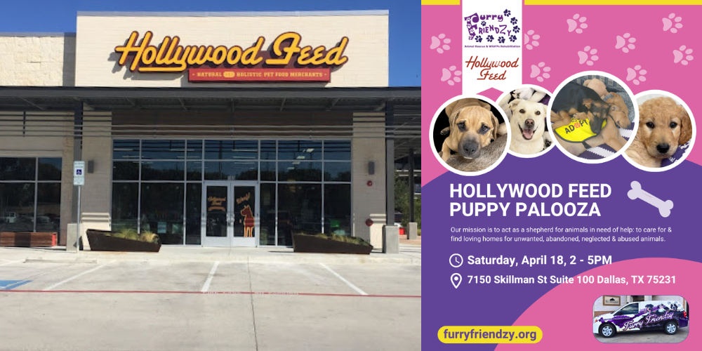 Puppy Palooza at Hollywood Feed on Skillman