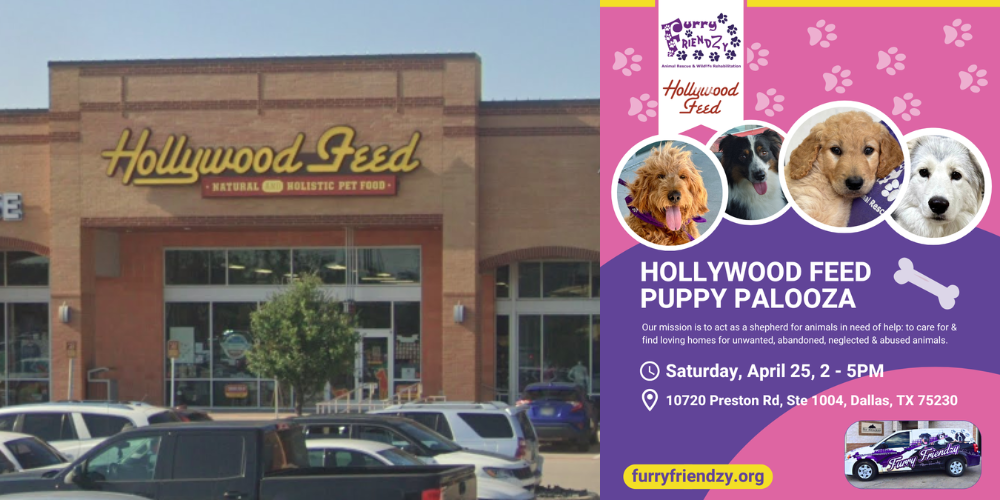 Puppy Palooza at Hollywood Feed on Preston