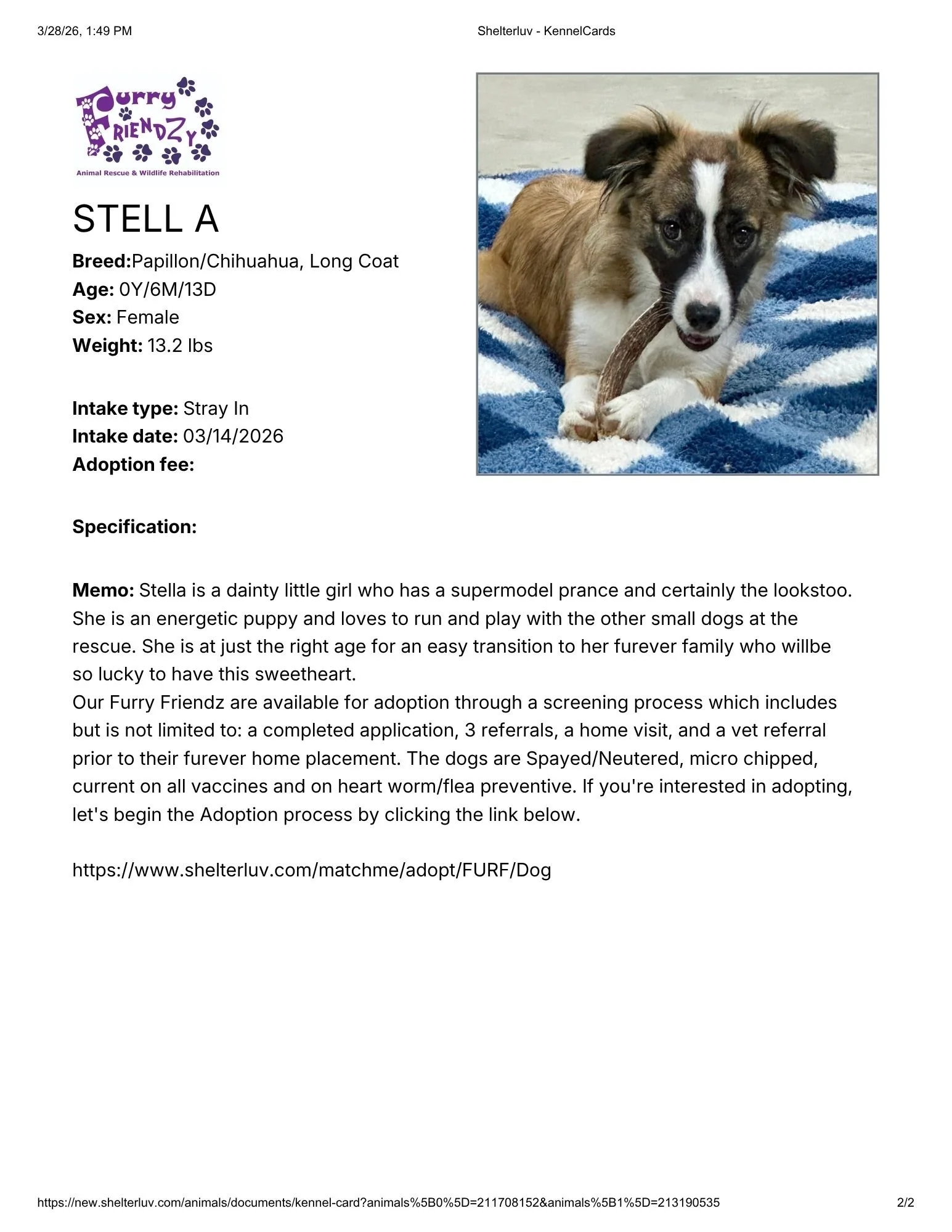 Shelterluv - KennelCardsstella.pdf.jpg