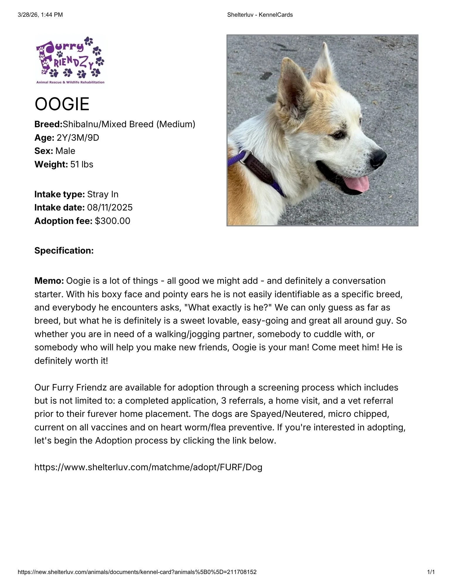 Shelterluv - KennelCardsoo.pdf.jpg