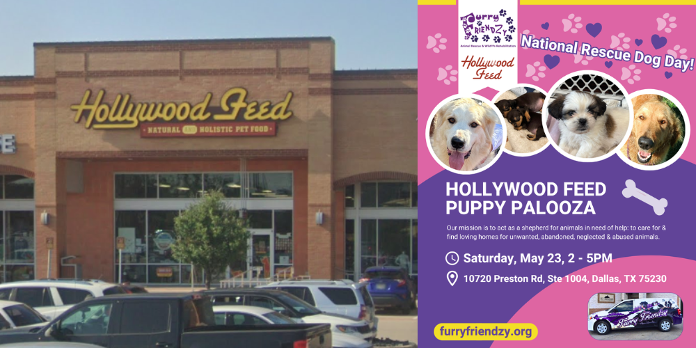 Puppy Palooza at Hollywood Feed on Preston