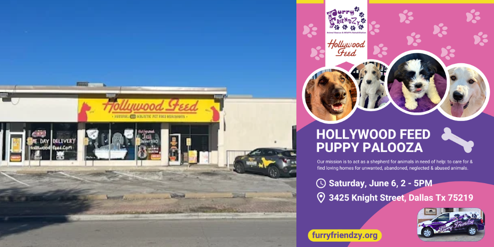 Puppy Palooza at Hollywood Feed on Knight St.