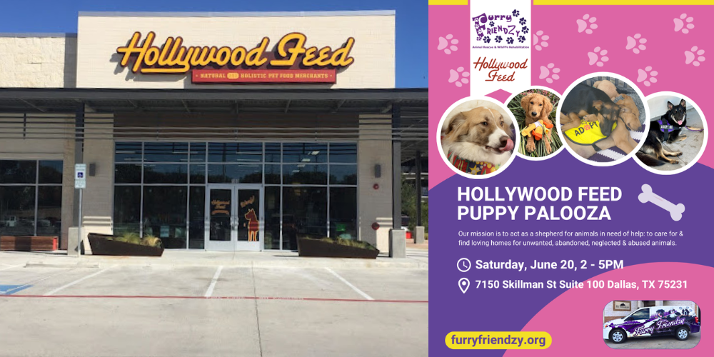 Puppy Palooza at Hollywood Feed on Skillman