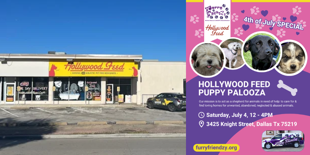 Puppy Palooza at Hollywood Feed on Knight St.