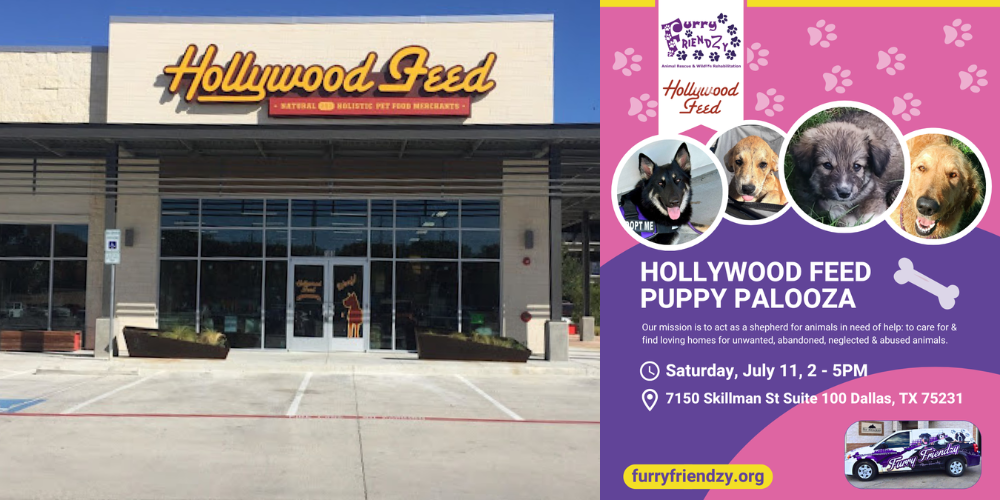 Puppy Palooza at Hollywood Feed on Skillman