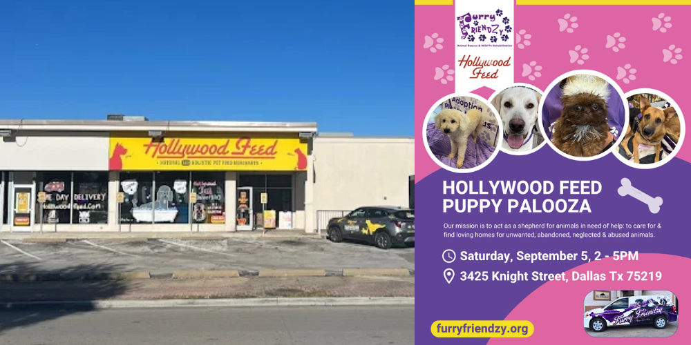 Puppy Palooza at Hollywood Feed on Knight St.