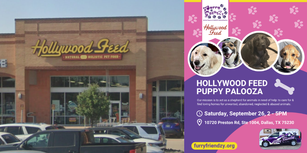 Puppy Palooza at Hollywood Feed on Preston