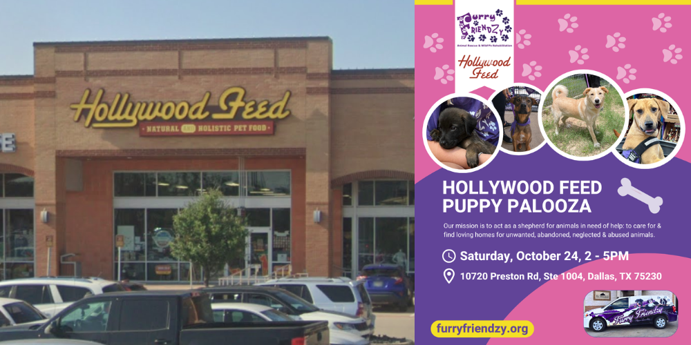 Puppy Palooza at Hollywood Feed on Preston
