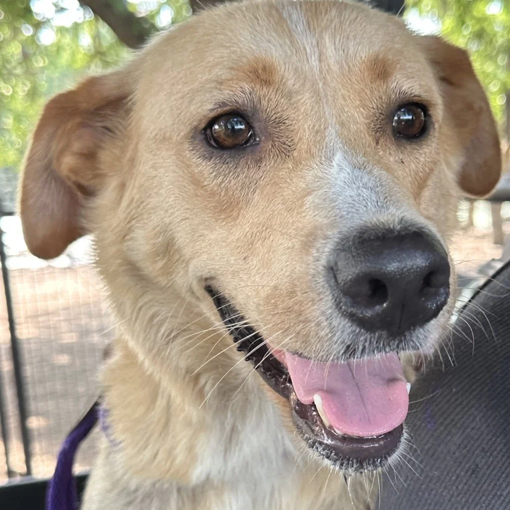 8bb0721836525c48ed1dec95dbab04c7 (1).jpeg