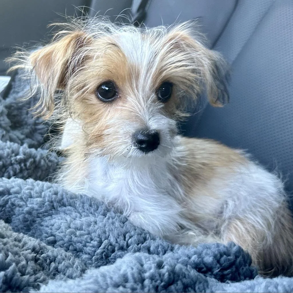 20241012163035 (1).png