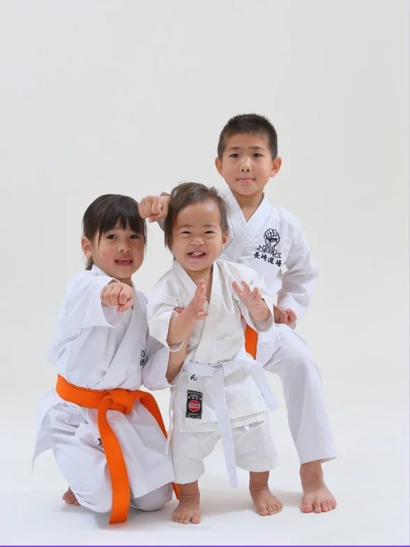 Ohana Jujitsu ,  1 day/week, 3 or more of any age (same household)