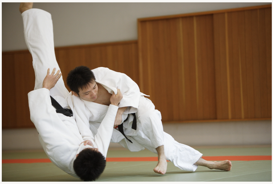Adult Jujitsu, 2 Days/Week, 18+