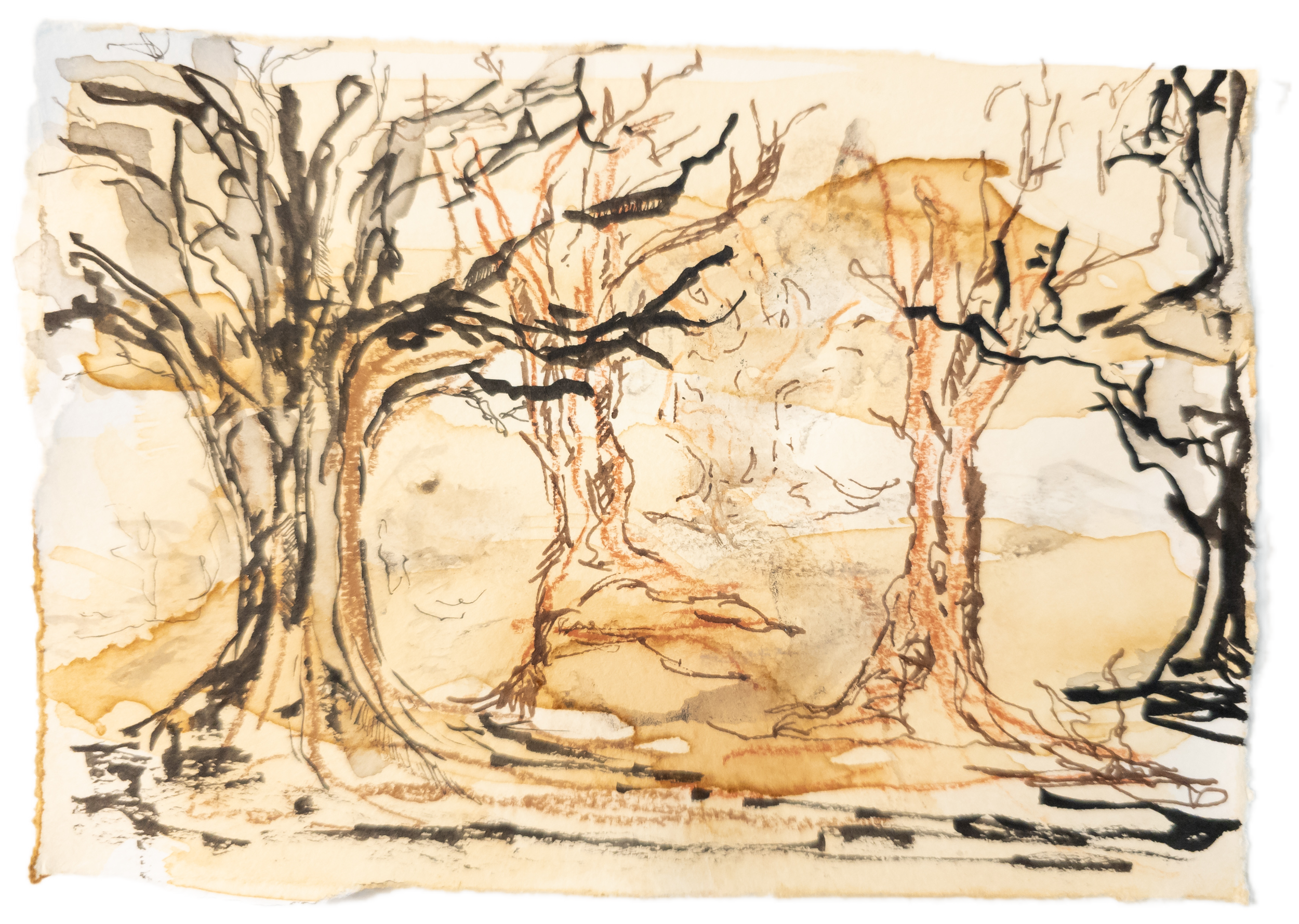  Silent Hours No.3  
Coffee and Tea Washes with ink and charcoal on vellum  
Size: 4" x 6"  
 SOLD   