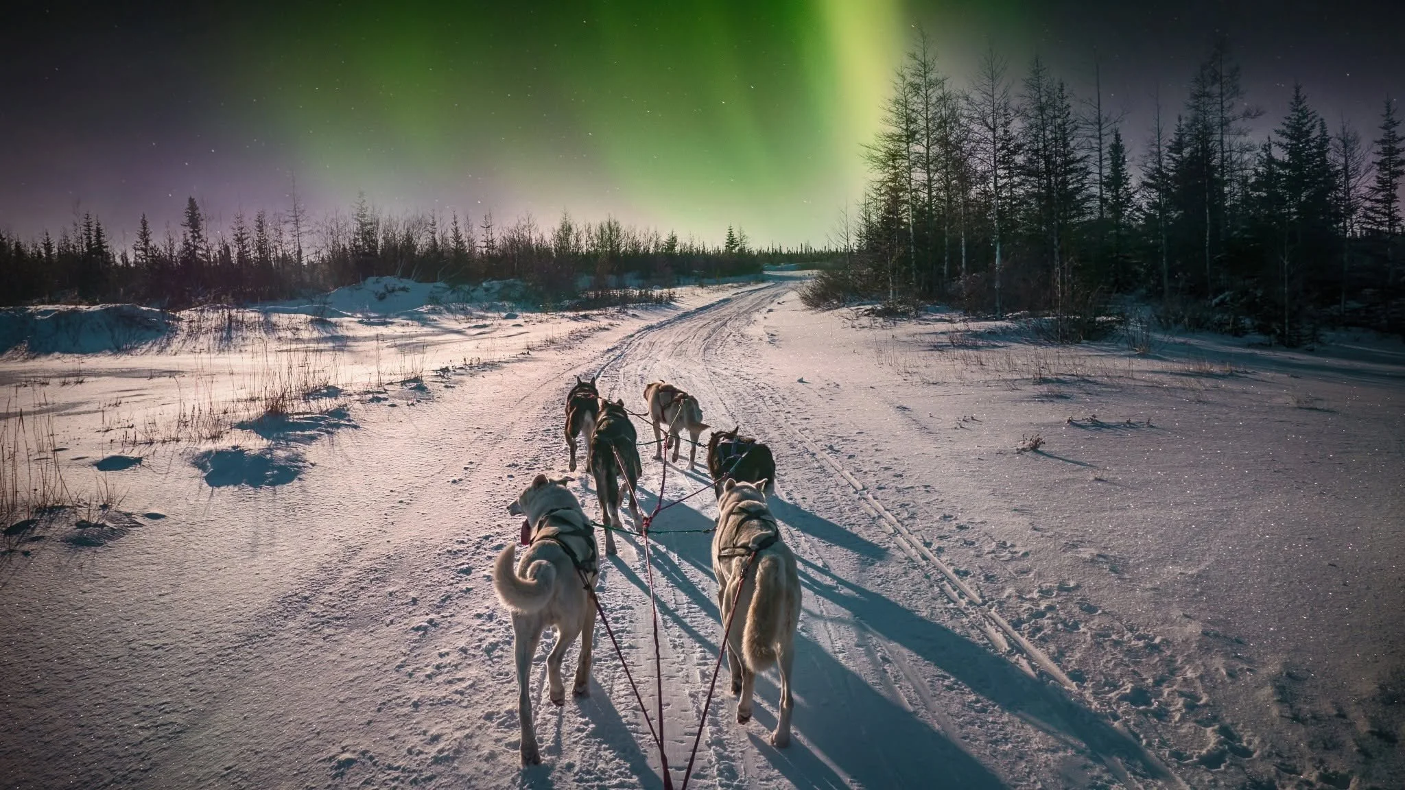 Northern Lights Holidays from Newcastle: Dark Skies, Arctic Nights and the Aurora Borealis