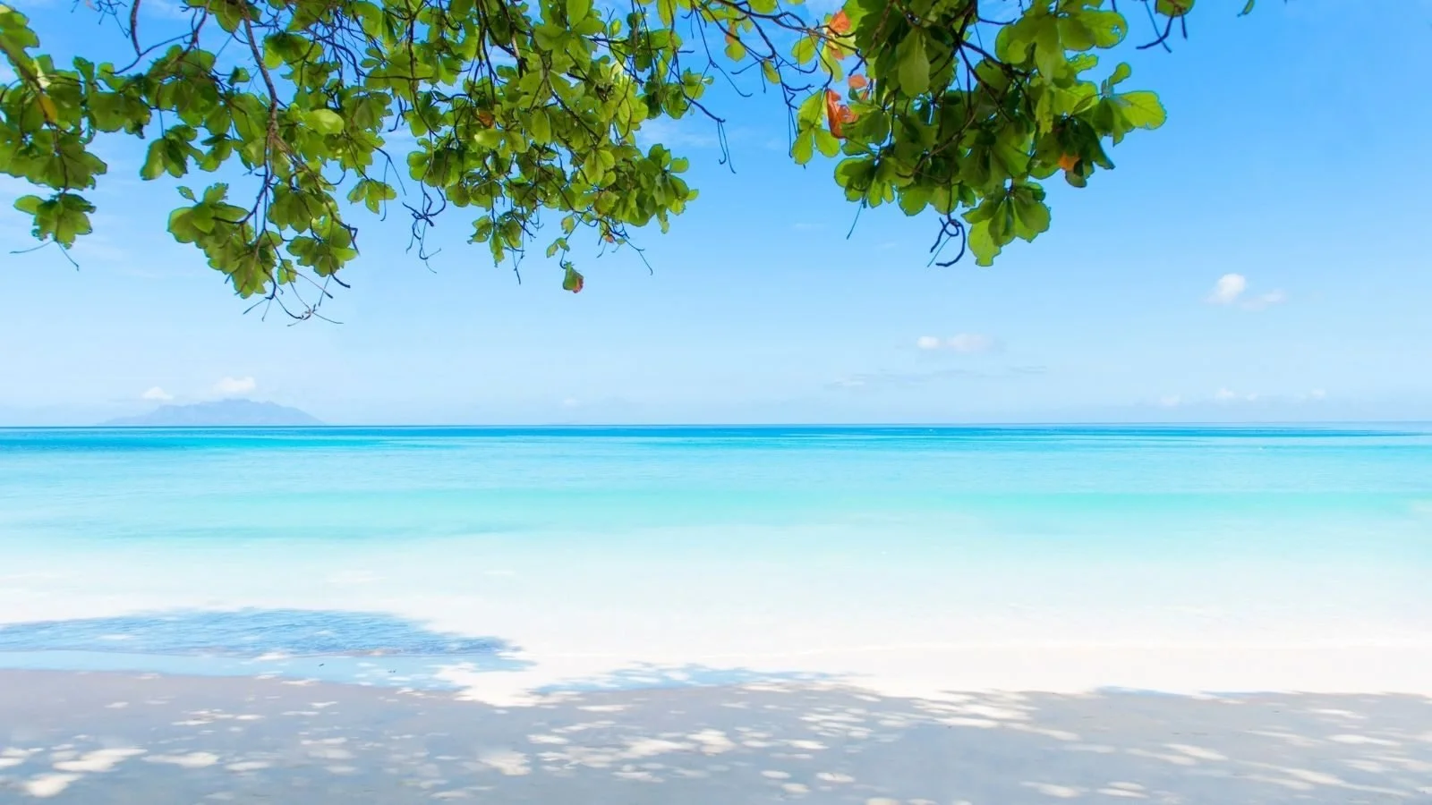 Wooden bridge over a clear river with a waterfall in the background surrounded by green trees.