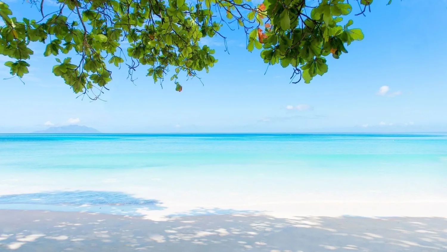Beach in Mahé, Seychelles